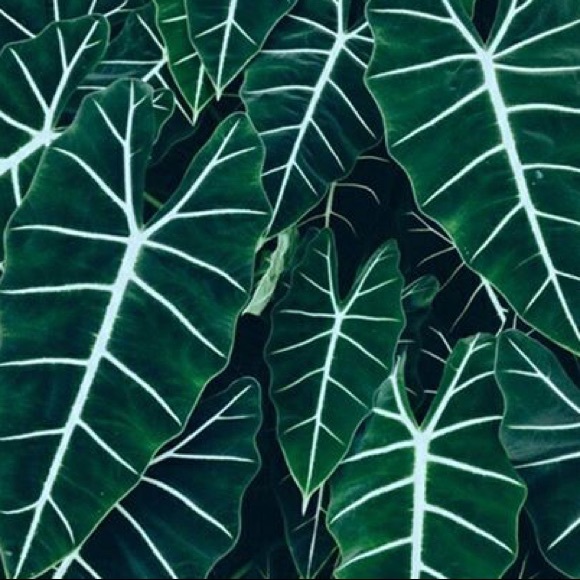 Profile Picture of Kenzie Gerity (@kgerity) on Poshmark