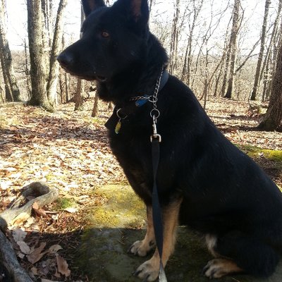 Profile Picture of Andy Seifert (@AndyThefixitman) on Twitter