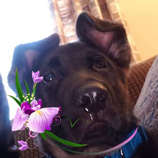 Profile Picture of Lori Bogden (@lori.bogden) on Facebook