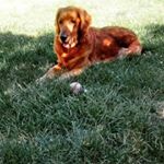 Profile Picture of Justin (@justinlippold15) on Instagram