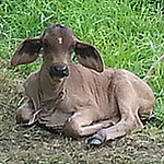 Profile Picture of Yolanda Moreno (@yolandamorenomunoz) on Flickr