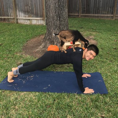 Profile Picture of Alvin Wang (@alvinwang970818) on Twitter