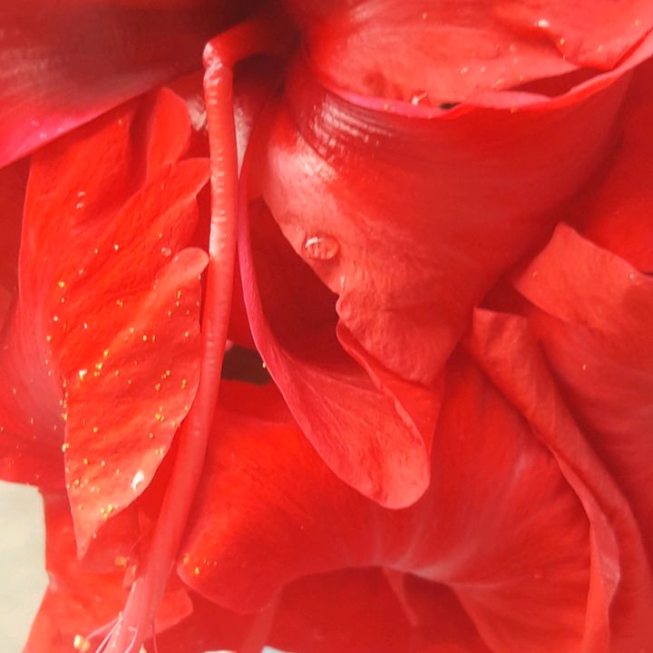 Profile Picture of Tandan Raw (@tandanraw) on Tiktok