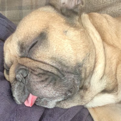 Profile Picture of Brad Stamp (@bradstamp91) on Twitter