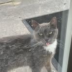 Profile Picture of Kelly Hickman (@Kelly-Hickman) on Facebook