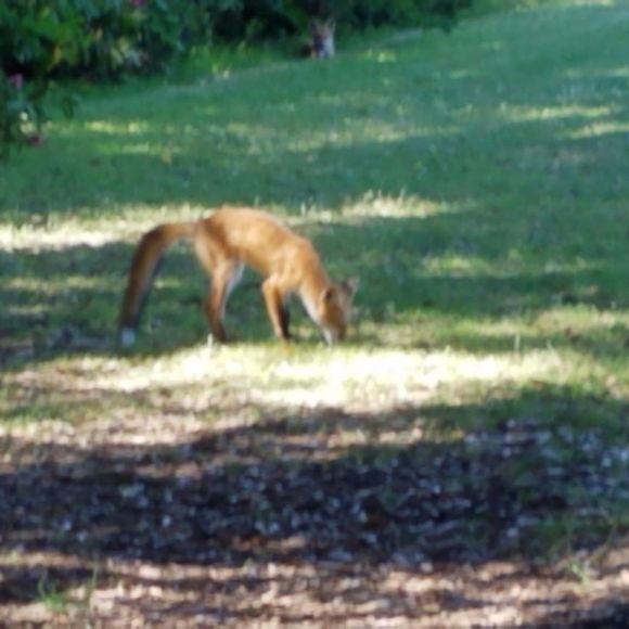 Profile Picture of Ray Sanchez (@rsanchez924) on Poshmark