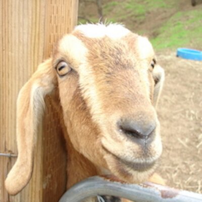 Profile Picture of Jeff Dunne (@jeffdunn13) on Twitter