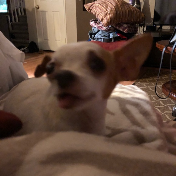 Profile Picture of Shanin Esguerra (@ninaxc) on Poshmark