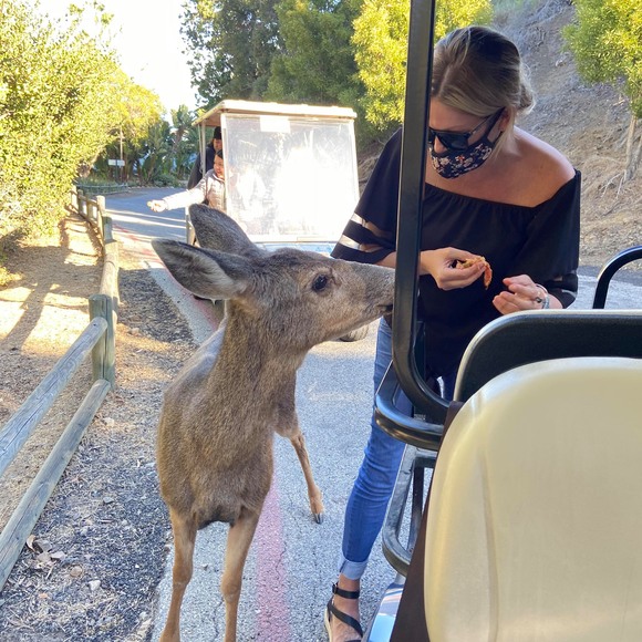 Profile Picture of Chelsea Sigliano (@chlsig) on Poshmark