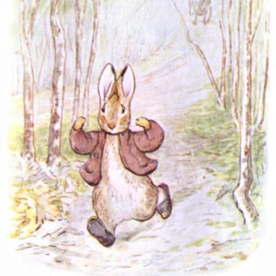 Profile Picture of Benjamin Bunny (@BenBunny27) on Twitter