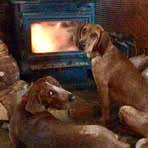 Profile Picture of Clint Conter (@clint.conter.5) on Facebook