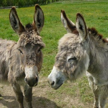 Profile Picture of Gilbert & Annick (@Gilbert_Annick) on Twitter