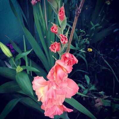 Profile Picture of Bert Dylan (@BertDylan464) on Twitter
