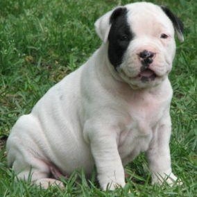 Profile Picture of Thomas Ayala (@169752806) on Myspace