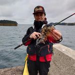 Profile Picture of Linus Chung (@ck.lam_852) on Instagram