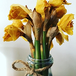 Profile Picture of Rachel Murphy Jenkins (@rachelmurphyjenkins) on Flickr