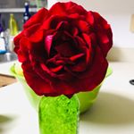 Profile Picture of Jean (@spreadlove_n_joy) on Instagram