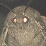 Profile Picture of Matthew Ruggiero (@_matthew.ruggiero_) on Instagram