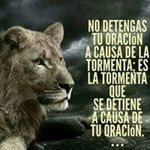 Profile Picture of Peter Merlín (@peter.merlin.9469) on Instagram