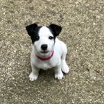 Profile Picture of Peter Hewett (@peterluke1) on Instagram