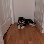 Profile Picture of Blake McIntyre (@Blake-McIntyre) on Facebook