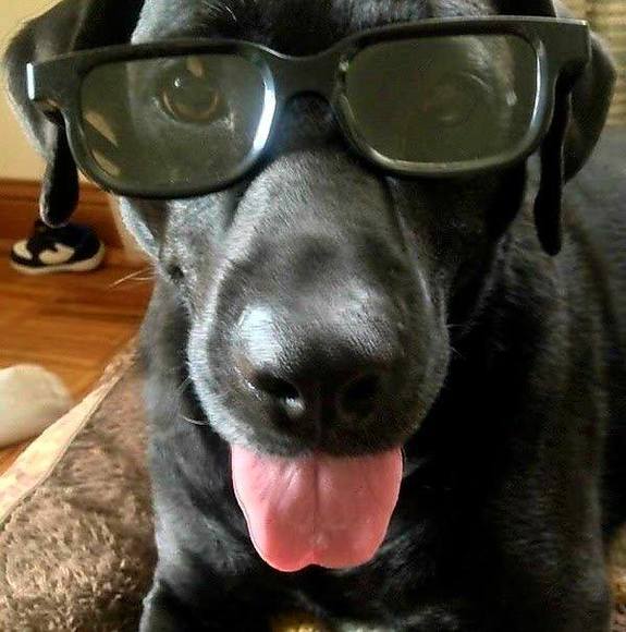 Profile Picture of Brett Wallaker (@brettwallaker) on Poshmark