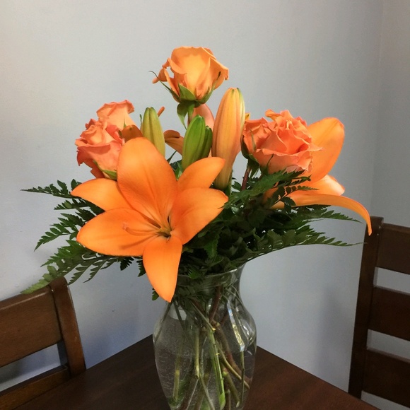 Profile Picture of Kim Grecula (@miknik723) on Poshmark