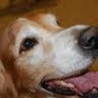 Profile Picture of Barry Briscoe (@barry-briscoe-3) on Quora