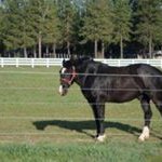 Profile Picture of Tom Marlin (@tom.marlin.6969) on Instagram