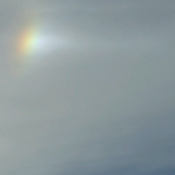 Donna Loney - Poshmark Profile Picture of Donna Loney (@net2bet) on Poshmark