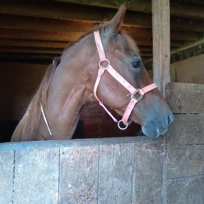 Profile Picture of Ariel Archer (@Arielarcher15) on Twitter