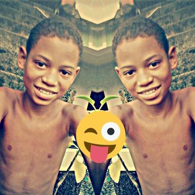 Profile Picture of Wendell Bad Wolf (@wendell_badwolf) on Twitter