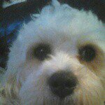 Profile Picture of Jonathan (@jonathan_renwick) on Instagram