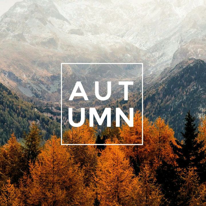 Profile Picture of autumn_sadness (@autumn_sadness) on Tiktok