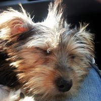 Profile Picture of Lisa Kennedy (@lisa-kennedy-29) on Quora