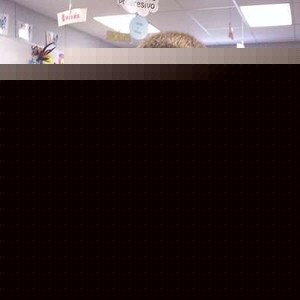 Profile Picture of John Collis (@261311875) on Myspace