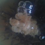 Profile Picture of Cécile ARNAUD (@cecilearnaud077) on Instagram