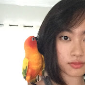 Profile Picture of Alice Wang (@alicewang665) on Youtube