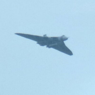 Profile Picture of Jago (@JanetYork) on Twitter