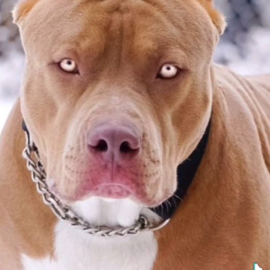 Profile Picture of ervinferko511 (@geralgferko213) on Tiktok