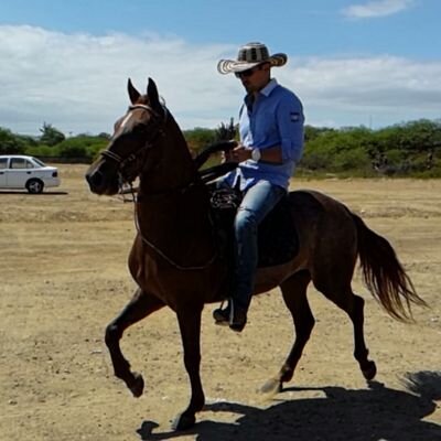 Profile Picture of Newton Cuadros (@newton_daniel) on Twitter