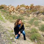 Profile Picture of Cecilia Chavez (@cecichtl) on Instagram