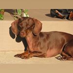 Profile Picture of Shelly Ferguson Mock (@shelly_mock) on Instagram