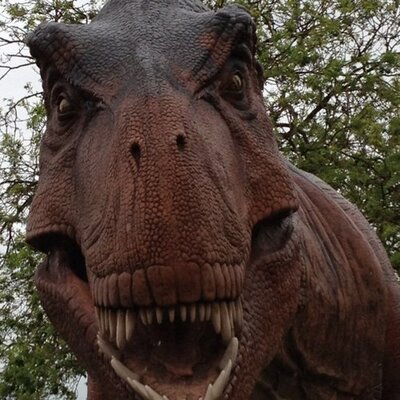 Profile Picture of Adam Lowes (@lowes_adam) on Twitter