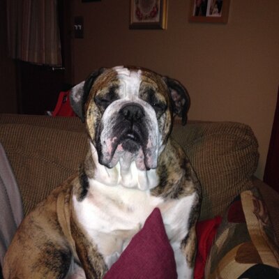 Profile Picture of Mike Mattox (@mike_mattox) on Twitter