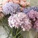 Profile Picture of Amanda Scala (@amanda6844) on Pinterest