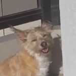 Profile Picture of Lucas Baxter (@lucasbaxter) on Instagram