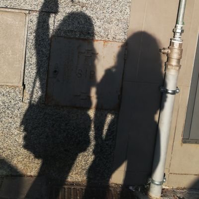 Profile Picture of Nancy Sharon D'Amato (@NancySharonDAm1) on Twitter