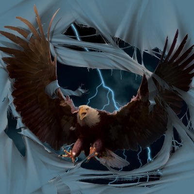 Profile Picture of Scott Keene (@eagle0691968) on Twitter
