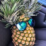 Profile Picture of Tracy Albers (@shirelindy) on Instagram